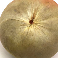 Lovely Painted Silk Apple (or Peach?) Pin Cushion