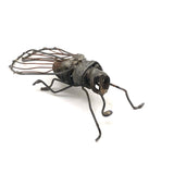 Wonderful Welded Wire Insect (with Spiral Tongue!)