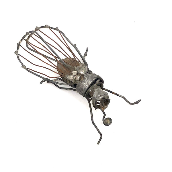 Wonderful Welded Wire Insect (with Spiral Tongue!)
