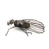 Wonderful Welded Wire Insect (with Spiral Tongue!)