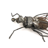 Wonderful Welded Wire Insect (with Spiral Tongue!)