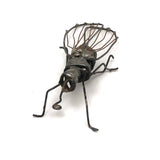 Wonderful Welded Wire Insect (with Spiral Tongue!)