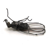 Wonderful Welded Wire Insect (with Spiral Tongue!)