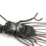 Wonderful Welded Wire Insect (with Spiral Tongue!)