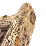 Sculptural Much Weathered Old Lobster Trap Fragment