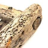 Sculptural Much Weathered Old Lobster Trap Fragment