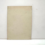 Woman with American Flag Holding A Second Small Flag with Star (?), Striking Early Snapshot