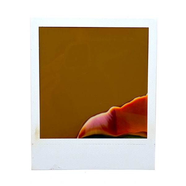 Evocative Abstract Polaroid #2