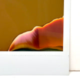 Evocative Abstract Polaroid #2