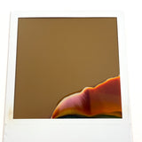 Evocative Abstract Polaroid #2