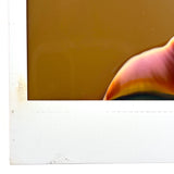 Evocative Abstract Polaroid #2