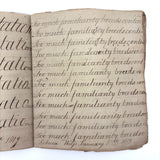 Rebecca Weiss's Lovely and Pointedly Poignant 1819 Penmanship Notebook
