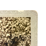 Penetrating Gaze and Folk Chair, Wonderfully Intense Antique Cabinet Card Photograph