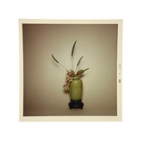 Ikebana Arrangement in Celadon Vase, Pristine and Moody 1966 Kodak Color Print