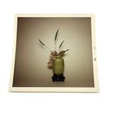 Ikebana Arrangement in Celadon Vase, Pristine and Moody 1966 Kodak Color Print