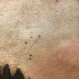 Merimere Reservoir, Hubbard Park, Meriden CT, Old Folk Art Oil on Board Painting