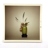 Ikebana Arrangement in Celadon Vase, Pristine and Moody 1966 Kodak Color Print