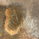 Dog with Blue Tassel, Charming 19th Century Pastel Drawing on Card