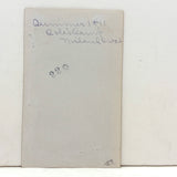 SOLD Sintwisters, August 1911, Backs Turned Portrait of Women in Calicos with Evocative Spooneristic Caption