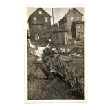 The Champion, Boy in Back Yard with Raised Fists and Protruding Ribs, c. 1940s Snapshot