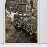The Champion, Boy in Back Yard with Raised Fists and Protruding Ribs, c. 1940s Snapshot