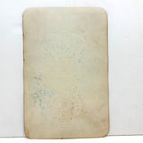 Empire State Grapes, Hand Stenciled Page From c. 1868 Nursery Specimens Salesman Sample Catalog