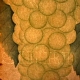 Empire State Grapes, Hand Stenciled Page From c. 1868 Nursery Specimens Salesman Sample Catalog