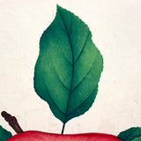 Wealthy Apple, c. 1868 Hand-stenciled Watercolor Illustration from Horticultural Salesman Sample Catalog