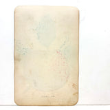 Wealthy Apple, c. 1868 Hand-stenciled Watercolor Illustration from Horticultural Salesman Sample Catalog