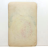 Alexander Peach, c. 1868 Hand-stenciled Watercolor Illustration from Horticultural Salesman Sample Catalog