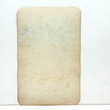 Champion Quince, Hand Stenciled Page From c. 1868 Nursery Specimens Salesman Sample Catalog