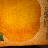 Champion Quince, Hand Stenciled Page From c. 1868 Nursery Specimens Salesman Sample Catalog