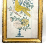 Yellow Bird with Blooming Flowers, Full Page Antique Ledger Drawing in Beautiful Lemon Gold Frame