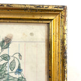 Yellow Bird with Blooming Flowers, Full Page Antique Ledger Drawing in Beautiful Lemon Gold Frame
