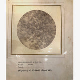 c. 1870 Microphotograph of Blood Cells Under Microscope, Dr. S. W. Fletcher, Pepperell MA (1 of 2)