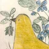 Yellow Bird with Blooming Flowers, Full Page Antique Ledger Drawing in Beautiful Lemon Gold Frame