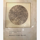 c. 1870 Microphotograph of Blood Cells Under Microscope, Dr. S. W. Fletcher, Pepperell MA (2 of 2)