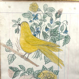 Yellow Bird with Blooming Flowers, Full Page Antique Ledger Drawing in Beautiful Lemon Gold Frame
