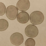 c. 1870 Microphotograph of Blood Cells Under Microscope, Dr. S. W. Fletcher, Pepperell MA (1 of 2)