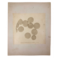 c. 1870 Microphotograph of Blood Cells Under Microscope, Dr. S. W. Fletcher, Pepperell MA (1 of 2)