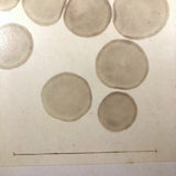 c. 1870 Microphotograph of Blood Cells Under Microscope, Dr. S. W. Fletcher, Pepperell MA (1 of 2)