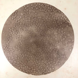 c. 1870 Microphotograph of Blood Cells Under Microscope, Dr. S. W. Fletcher, Pepperell MA (2 of 2)