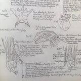 19th C. Art School Anatomy Lessons, 90+ Packed Pages Ink Drawings and Handwriten Textbooks