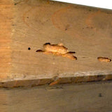 Two Shapes, Three Forms, Opposing End Grains, More Sculpture than Puzzle