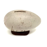 1874 Oyster Painted Treen Egg Bank