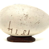 1874 Oyster Painted Treen Egg Bank