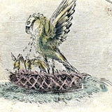 Live and DIe for those We Love,  Poignant and Scarce Mid 19th Century Engraved Sentiment Card