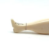 Fabulous c. Mid 1800s Sailor Made Whalebone Ladies Leg Pipe Tamper