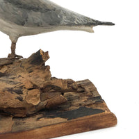 SOLD Excellent 1971 Signed Folk Art Seagull on Driftwood Base
