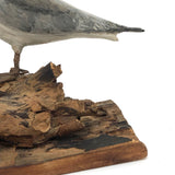 SOLD Excellent 1971 Signed Folk Art Seagull on Driftwood Base